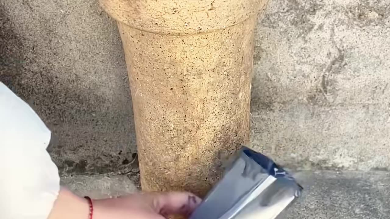 💡👍 Mind-Blowing Hack You Need to Try! | LifeHacksDaily