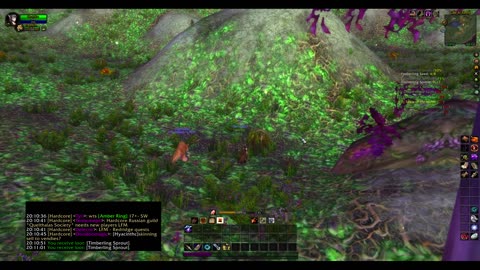 Turtle wow - Melee HC Slow and Steady Hunter - Part 9 - No commentary