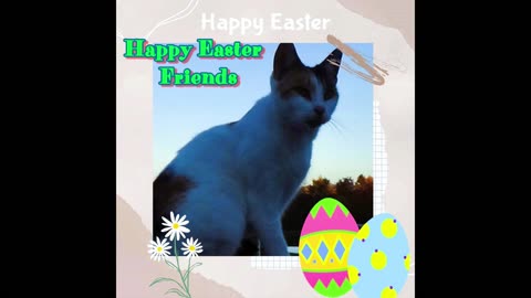 Lucille The Cat And The Easter Bunny Squad