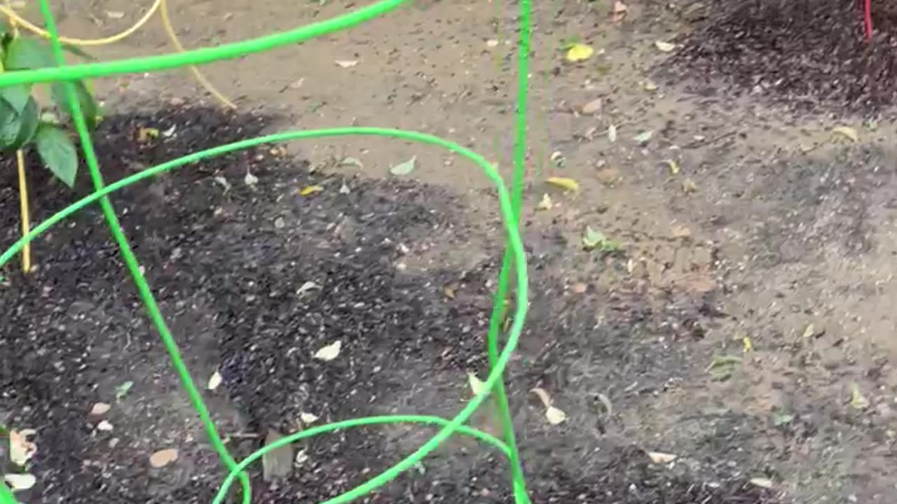 Garden 2025 Update 1