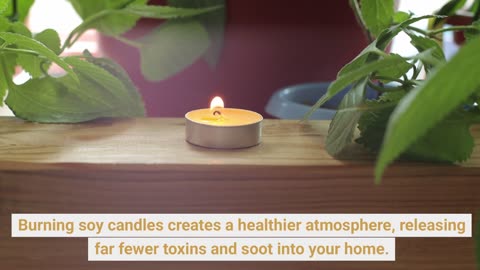 Soy Candles UK