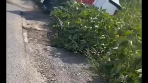 Warning: May cause uncontrollable laughter