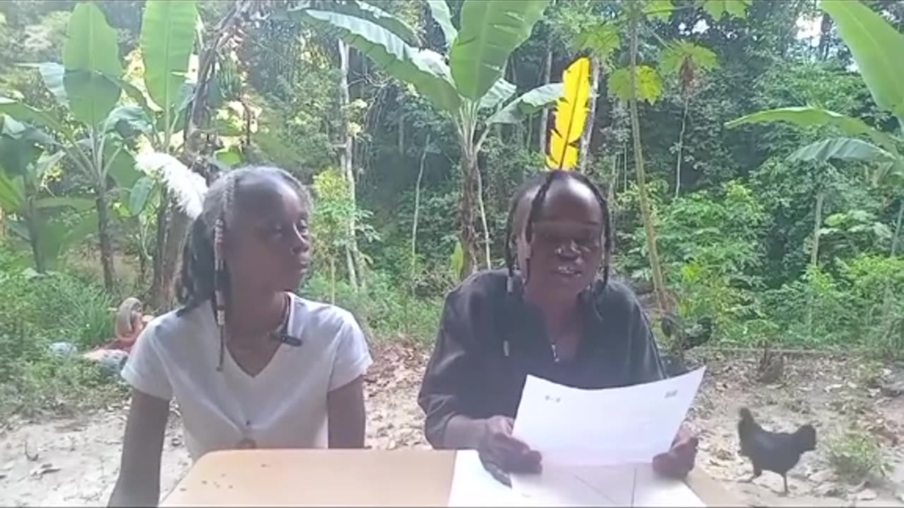 BIRTH CERTIFICATE SLAVERY - AFRICAN NATIONS CONTINUED