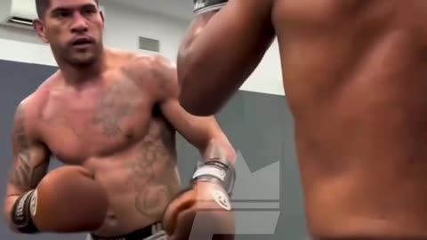 Alex Pereira sparring skill🔥