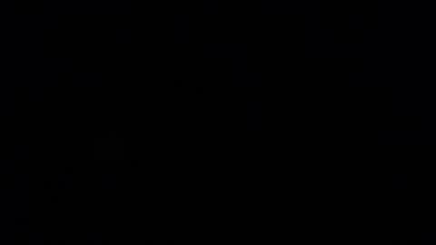 The Wendi primate's dad equates runway lights to aliens