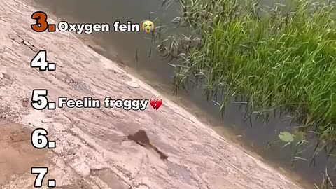 The best funny video you will see today