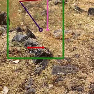 The Edge Of More | Path and Tarot Reading