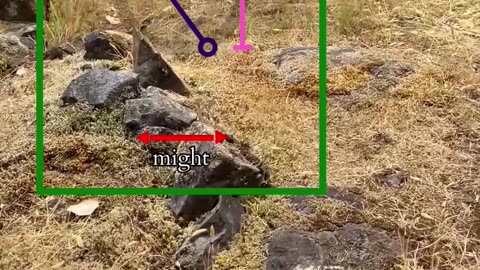 The Edge Of More | Path and Tarot Reading