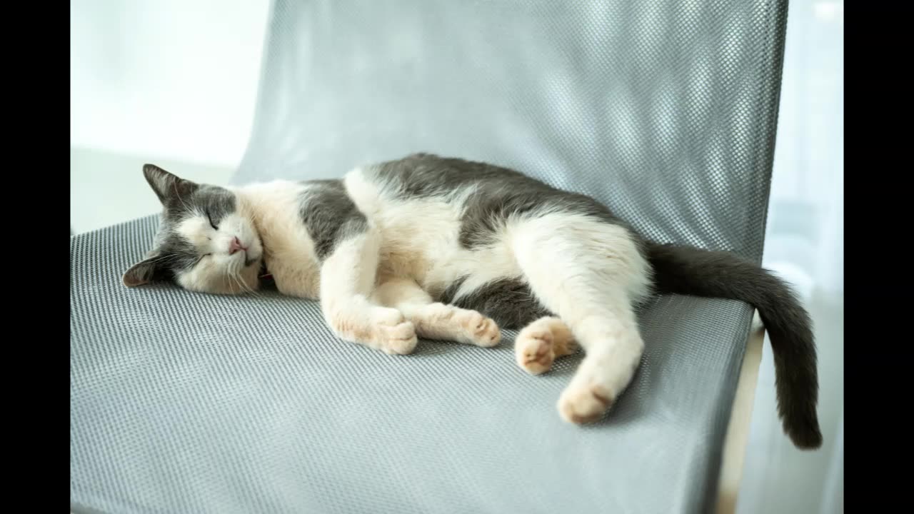 Lord Winter - Lazy