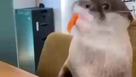 Snack time