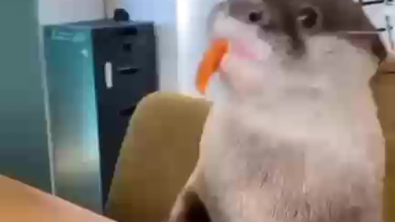 Snack time