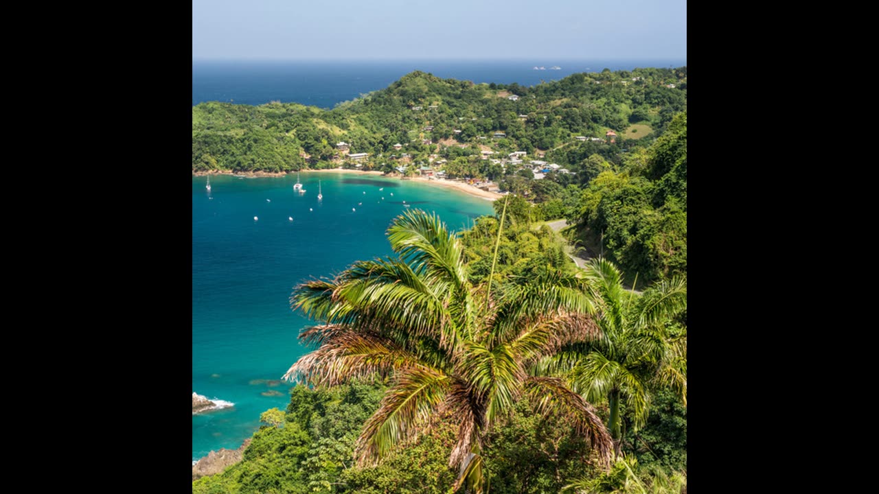 Geese - trinidad (SLOWED + REVERB)