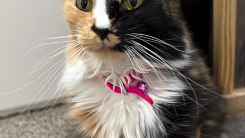 Zoe