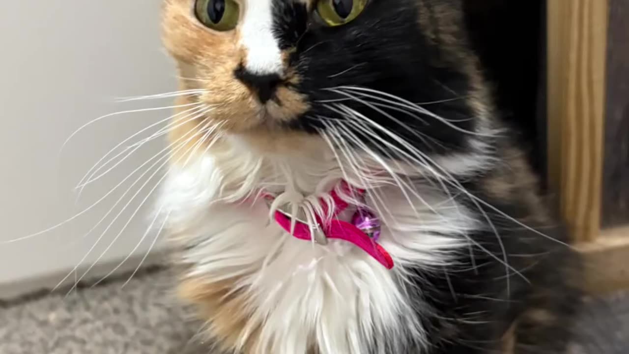 Zoe