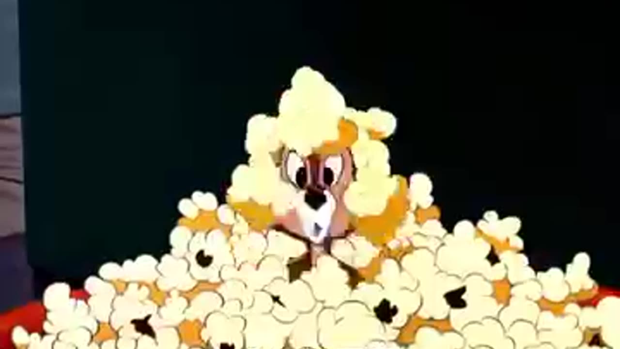 Funny videos 😹😹