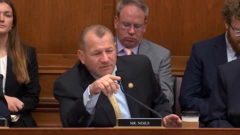 Rep. Nehls Questions Witnesses at House Judiciary Crime Subcommittee Hearing