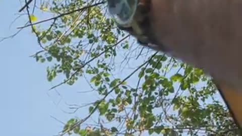 DM 20230521 Danielle Muscato is going live!