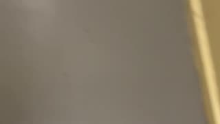 Stairs Walking Nov 18, 2025