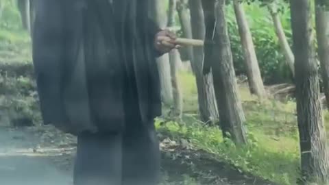 “How’s This Chinese Elder’s Mind Wandering?”