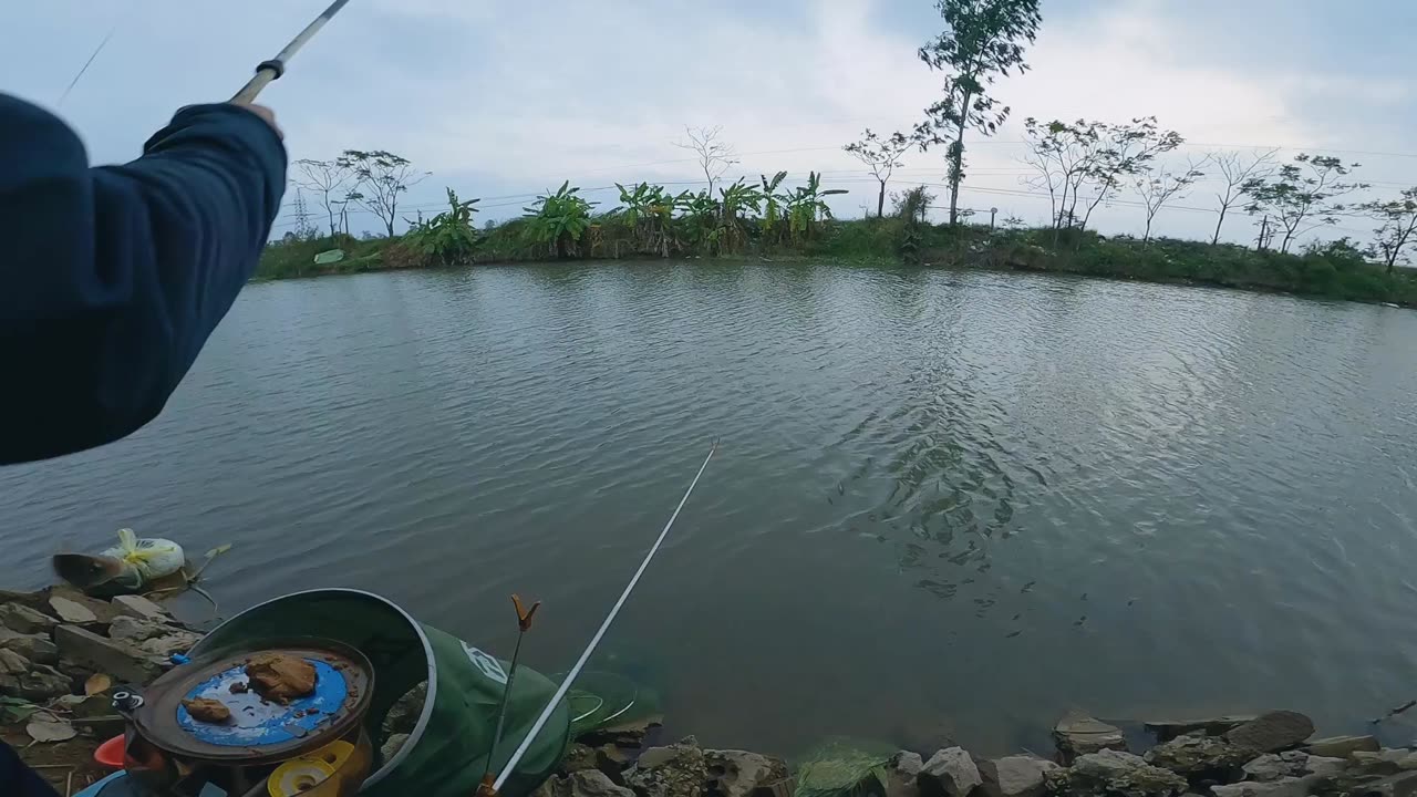 A Rainy Evening Fishing for Carp by the River