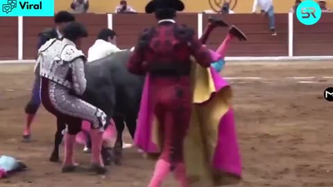 A Mexican bullfighter gets a horn in his ass