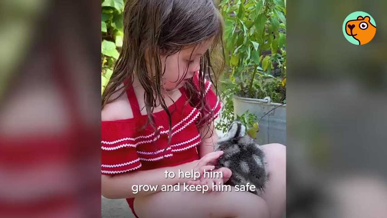 Wild Duck Can’t Wait To Swim With His Best Friend | Cuddle Buddies