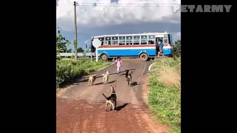 "Kids vs Pets 😂 Cute & Weird Animal Moments You Can’t Stop Watching!"