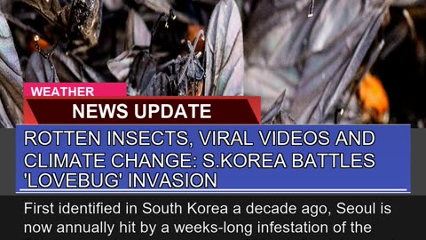 Rotten Insects Viral Videos and Climate Change S