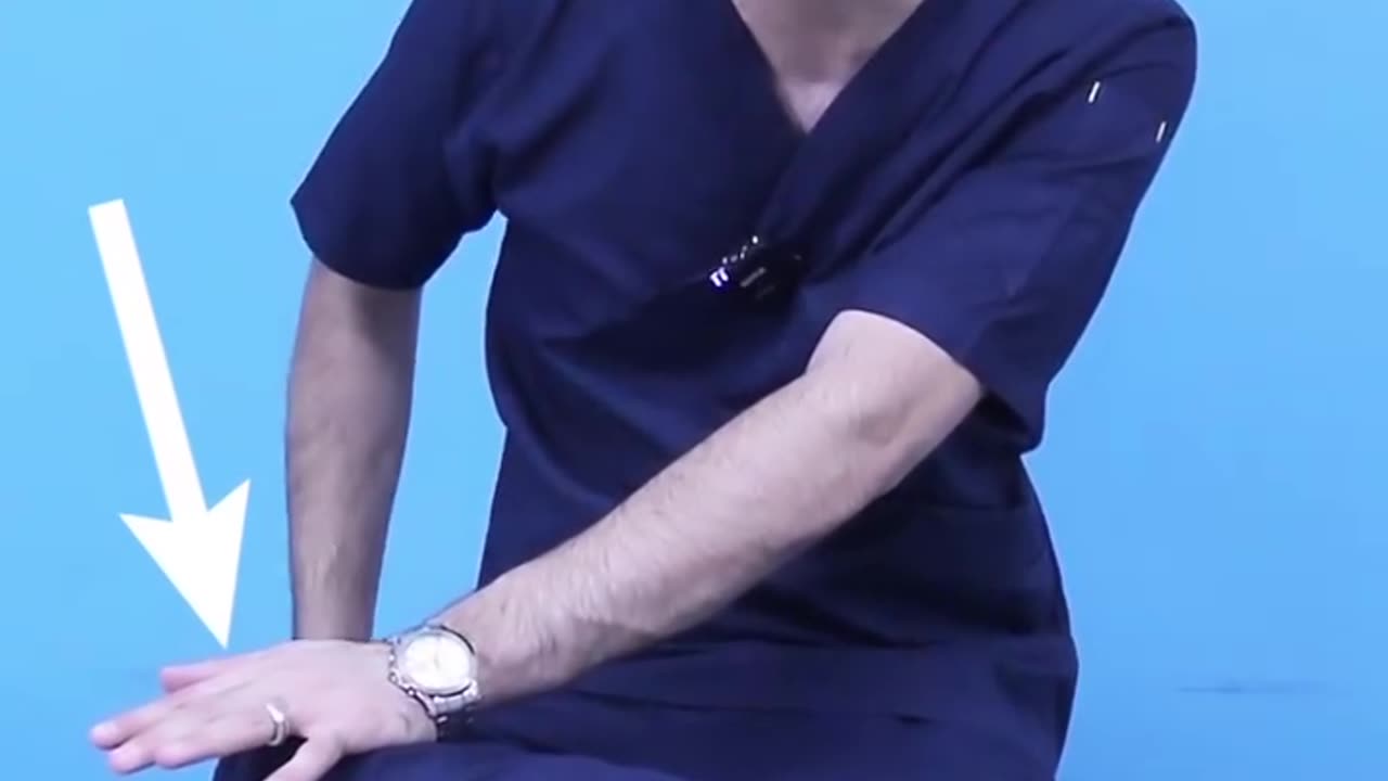 اندام شناسی
