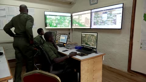 Kenya completes week-long ear-notching to protect rhinos