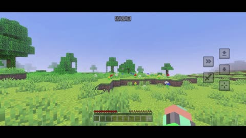 Minecraft AFK Challenge