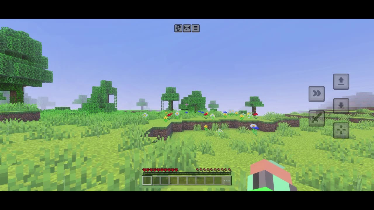 Minecraft AFK Challenge