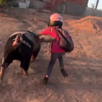 Hitching a ride 🤣