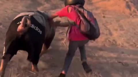 Hitching a ride 🤣