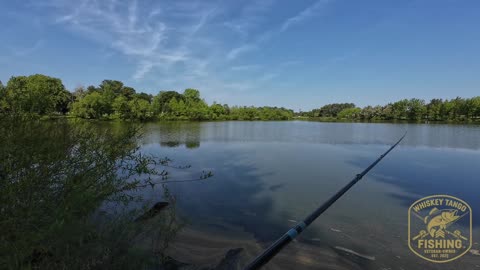 Fishing Big Soft Plastic Baits!