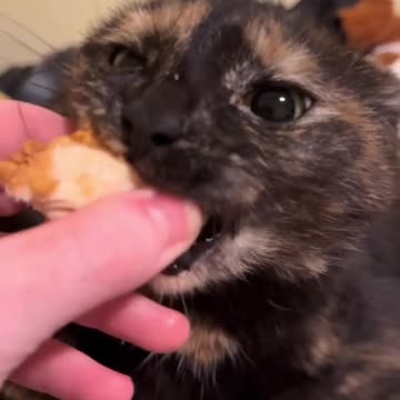 Survival of the fittest 🤣