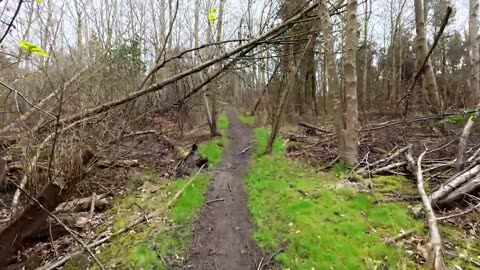 Relaxation sounds of winter hike in England sleep aid video