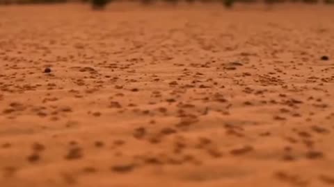 موت العالم ذهاب العلم - الشيخ صالح بن محمد السويح -حفظه الله-