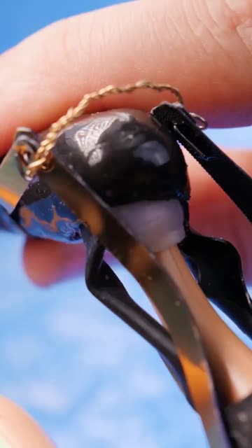 Ever wondered what really happens during these procedures? 🧠