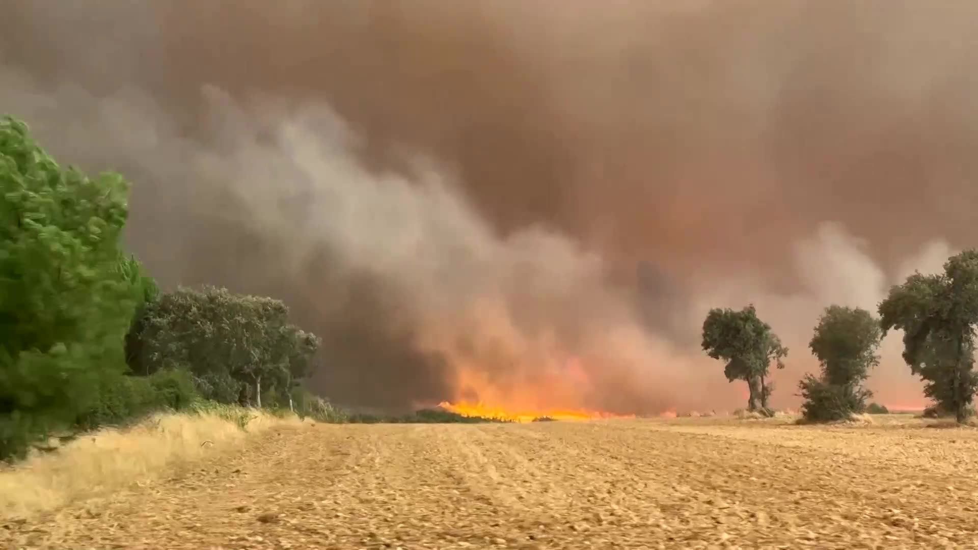 Firefighters battle spreading wildfire in Spains Zamora region