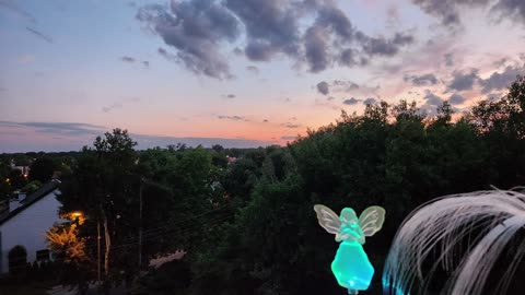 Wiesiorynka nocna 37