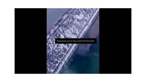 They Came Uninvited… and Now They’re Leaving in a Hurry