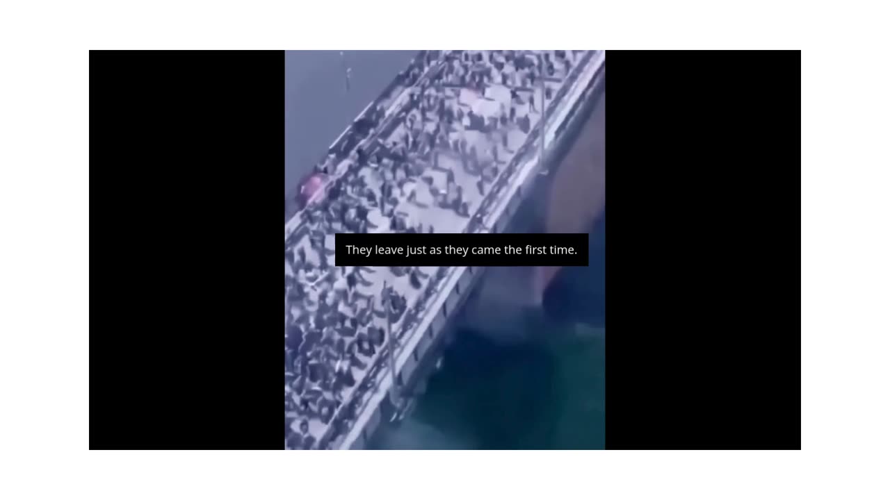 They Came Uninvited… and Now They’re Leaving in a Hurry