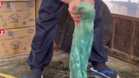 😂🧵 The Most Unexpected Silk Dyeing! | FunFM