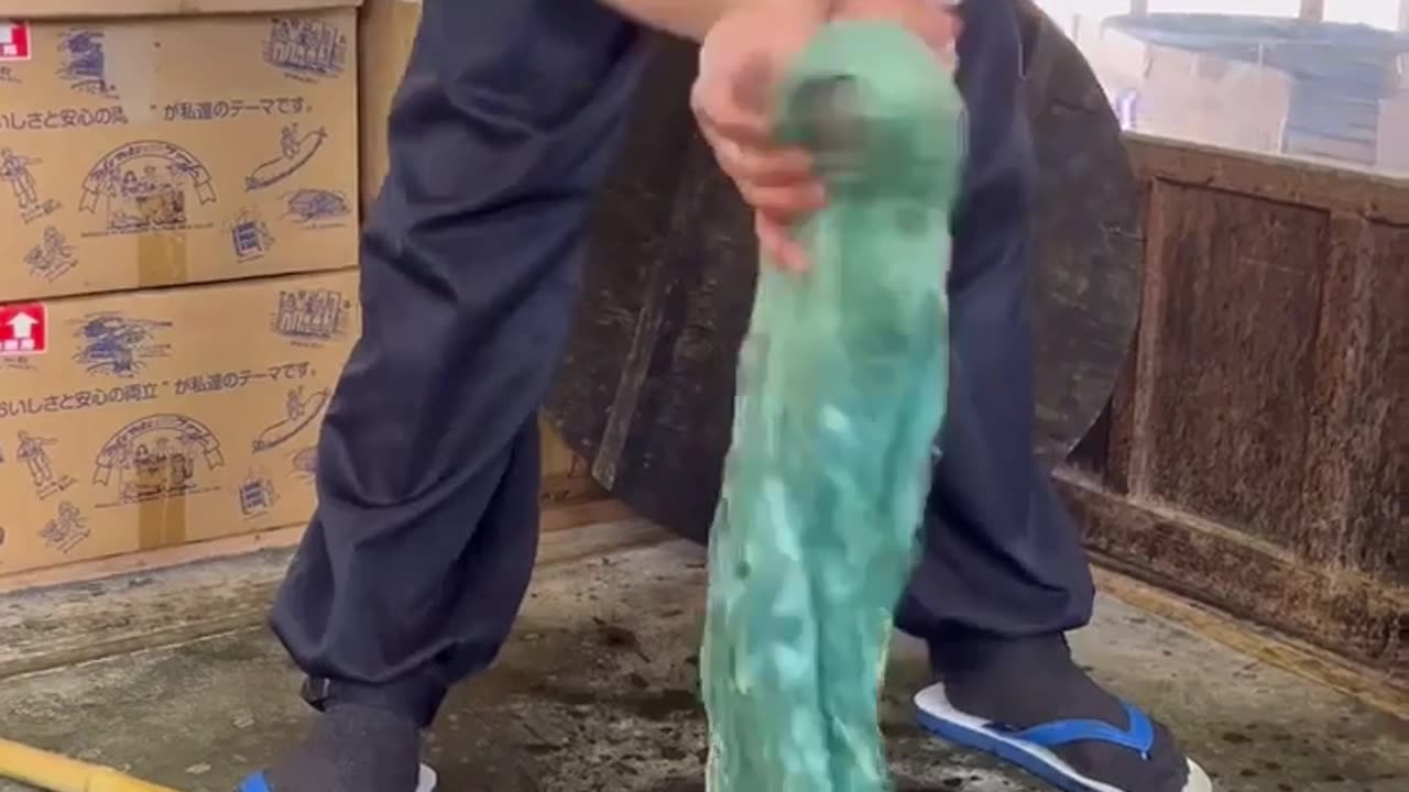 😂🧵 The Most Unexpected Silk Dyeing! | FunFM