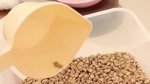 😂👀 You Won't Believe This Funny Hack! | LifeHacksDaily