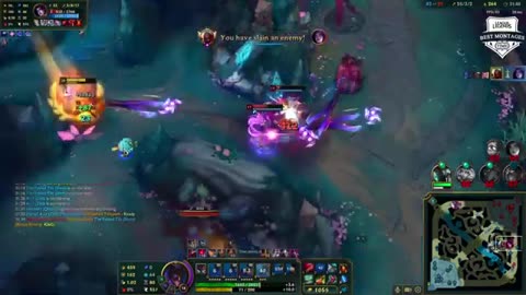 ZED MONTAGE 2025 - ONE SHOT