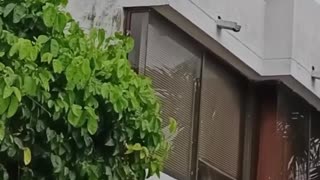 Rescate de una joven en Crespo