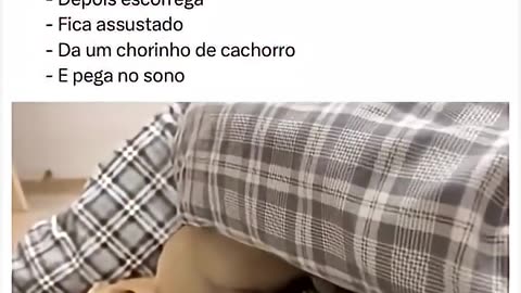 O melhor vídeo que você vai ver hoje 😂❤️