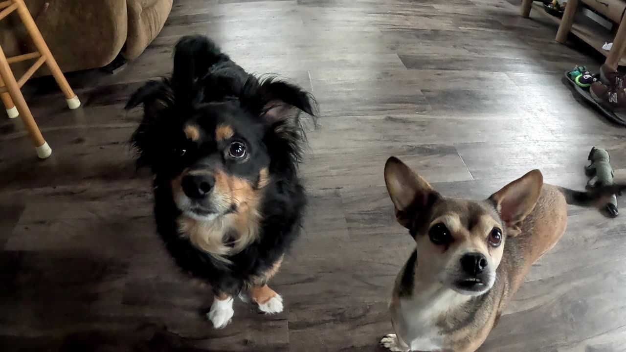 We Tried Aldis Gyro Meat